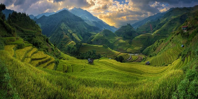 Rice-fields-on-terraced-of-Mu-Cang-Chai