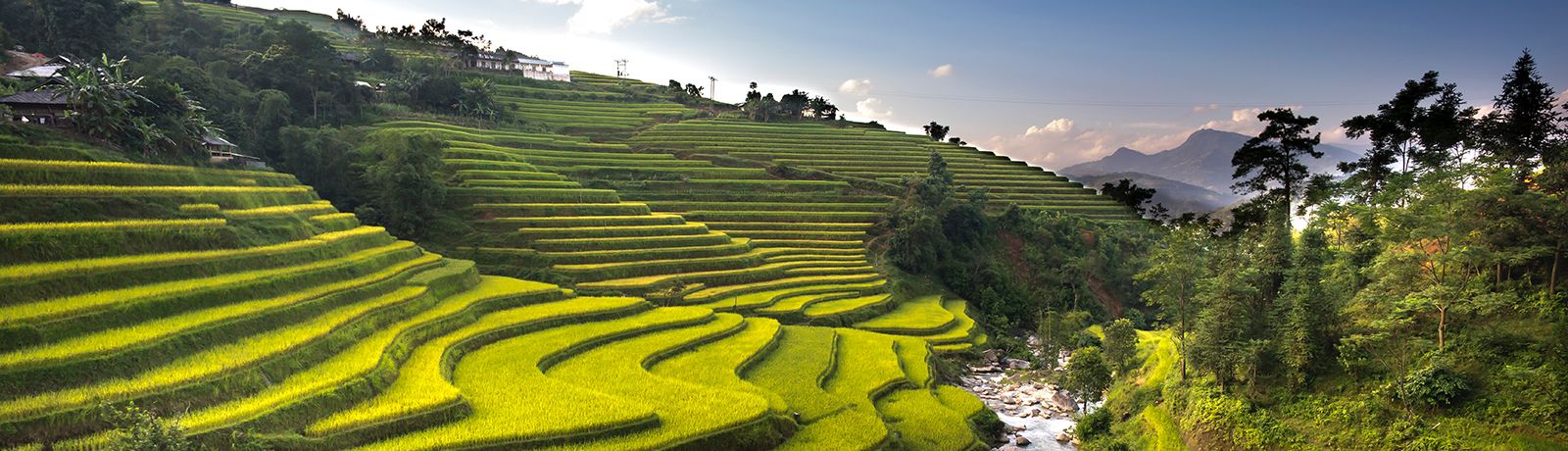 Khám Phá Việt Nam Tươi Đẹp