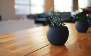 Khám Phá Vẻ Đẹp Của "hạ Long Trên Cạn" Tại Ninh Bình