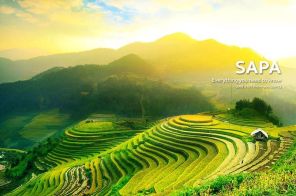Hà Nội - Sapa - Cát Cát - Ngắm Cánh Đồng Hoa Cải Vàng
