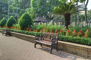 Đà Lạt - Thành Phố Ngàn Hoa